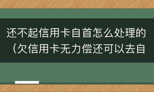 还不起信用卡自首怎么处理的（欠信用卡无力偿还可以去自首吗）