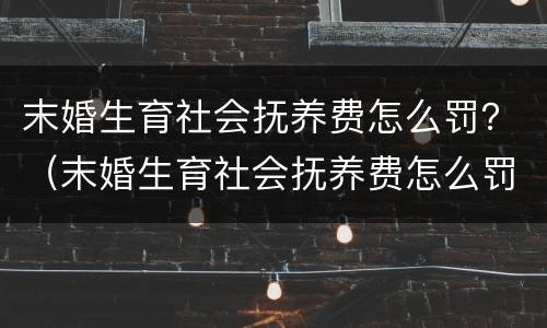 末婚生育社会抚养费怎么罚？（末婚生育社会抚养费怎么罚的）