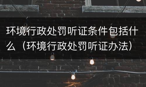 环境行政处罚听证条件包括什么（环境行政处罚听证办法）