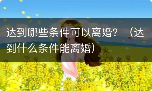 达到哪些条件可以离婚？（达到什么条件能离婚）