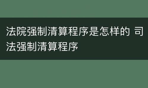 法院强制清算程序是怎样的 司法强制清算程序