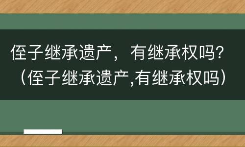 侄子继承遗产，有继承权吗？（侄子继承遗产,有继承权吗）