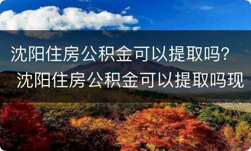 沈阳住房公积金可以提取吗？ 沈阳住房公积金可以提取吗现在