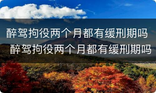 醉驾拘役两个月都有缓刑期吗 醉驾拘役两个月都有缓刑期吗