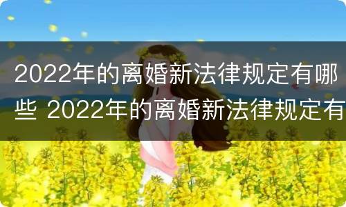 2022年的离婚新法律规定有哪些 2022年的离婚新法律规定有哪些问题