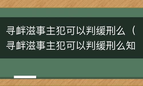 寻衅滋事主犯可以判缓刑么（寻衅滋事主犯可以判缓刑么知乎）