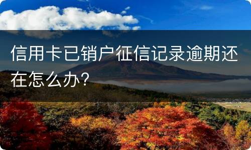 信用卡已销户征信记录逾期还在怎么办?