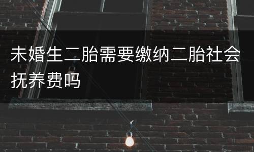 未婚生二胎需要缴纳二胎社会抚养费吗