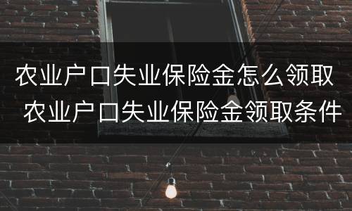 农业户口失业保险金怎么领取 农业户口失业保险金领取条件