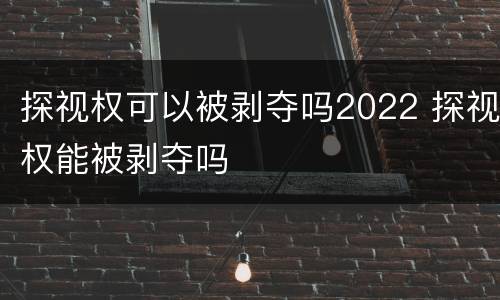 探视权可以被剥夺吗2022 探视权能被剥夺吗