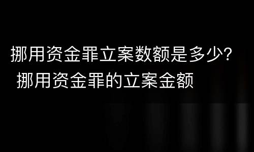 挪用资金罪立案数额是多少？ 挪用资金罪的立案金额