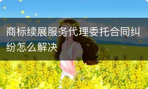 商标续展服务代理委托合同纠纷怎么解决