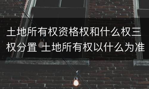 土地所有权资格权和什么权三权分置 土地所有权以什么为准