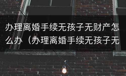 办理离婚手续无孩子无财产怎么办（办理离婚手续无孩子无财产怎么办呢）