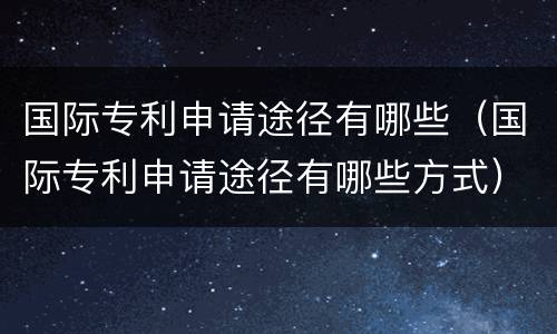 国际专利申请途径有哪些（国际专利申请途径有哪些方式）