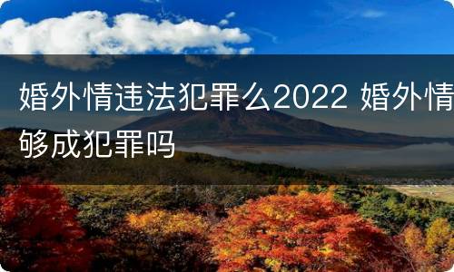 婚外情违法犯罪么2022 婚外情够成犯罪吗