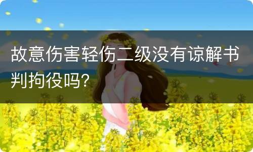 故意伤害轻伤二级没有谅解书判拘役吗？