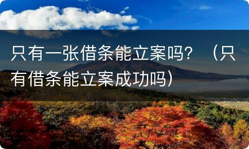 只有一张借条能立案吗？（只有借条能立案成功吗）