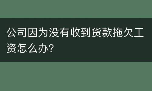 公司因为没有收到货款拖欠工资怎么办？