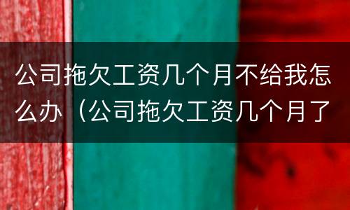 公司拖欠工资几个月不给我怎么办（公司拖欠工资几个月了怎么办）