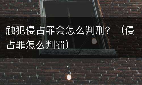 触犯侵占罪会怎么判刑？（侵占罪怎么判罚）