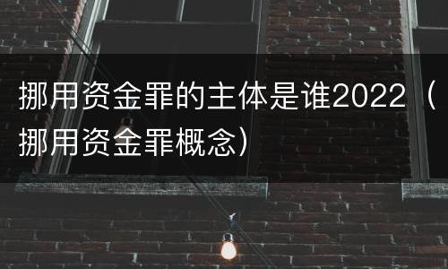 挪用资金罪的主体是谁2022（挪用资金罪概念）