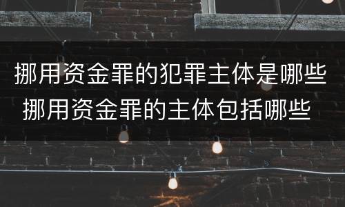 挪用资金罪的犯罪主体是哪些 挪用资金罪的主体包括哪些