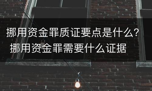 挪用资金罪质证要点是什么？ 挪用资金罪需要什么证据