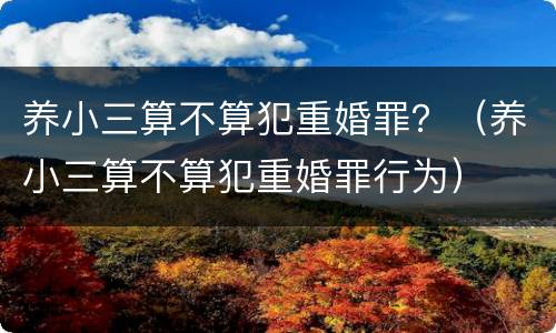 养小三算不算犯重婚罪？（养小三算不算犯重婚罪行为）