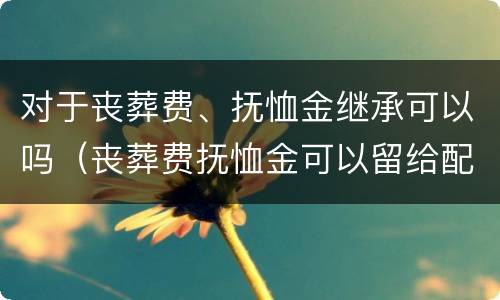 对于丧葬费、抚恤金继承可以吗（丧葬费抚恤金可以留给配偶吗）