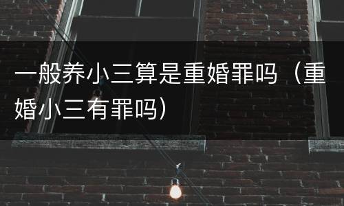 一般养小三算是重婚罪吗（重婚小三有罪吗）