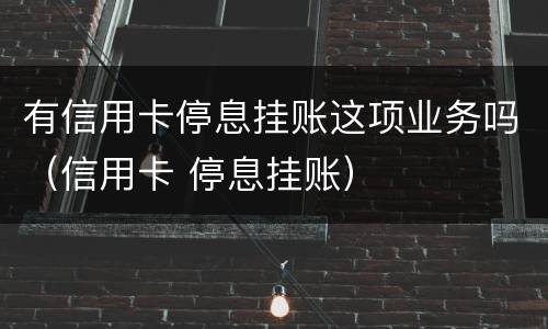 有信用卡停息挂账这项业务吗（信用卡 停息挂账）