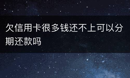 欠信用卡很多钱还不上可以分期还款吗