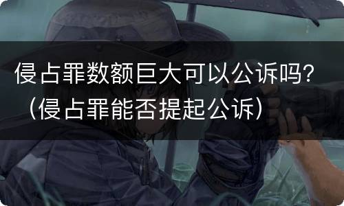 侵占罪数额巨大可以公诉吗？（侵占罪能否提起公诉）