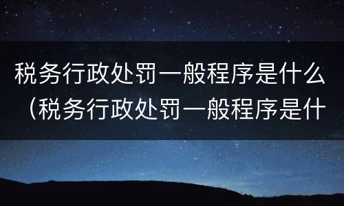 税务行政处罚一般程序是什么（税务行政处罚一般程序是什么意思）