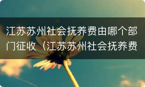 江苏苏州社会抚养费由哪个部门征收（江苏苏州社会抚养费由哪个部门征收的）