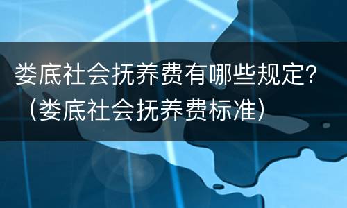 娄底社会抚养费有哪些规定？（娄底社会抚养费标准）