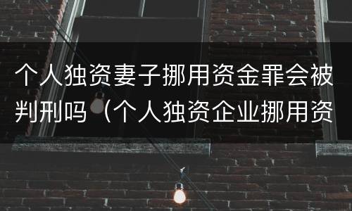 个人独资妻子挪用资金罪会被判刑吗（个人独资企业挪用资金 判例）