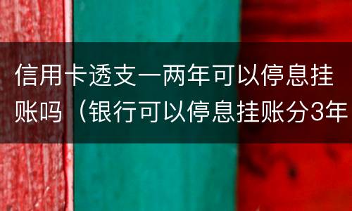 信用卡透支一两年可以停息挂账吗（银行可以停息挂账分3年偿还信用卡吗）