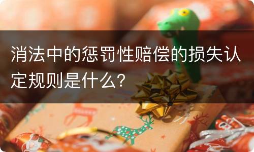 消法中的惩罚性赔偿的损失认定规则是什么？