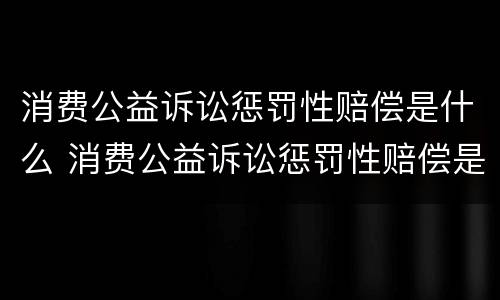 消费公益诉讼惩罚性赔偿是什么 消费公益诉讼惩罚性赔偿是什么意思