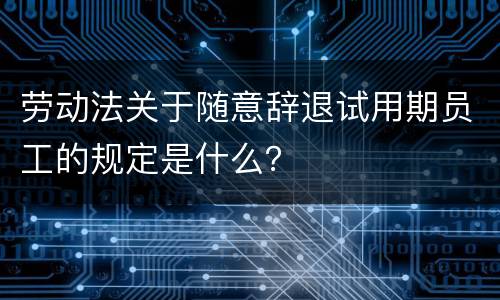 劳动法关于随意辞退试用期员工的规定是什么？