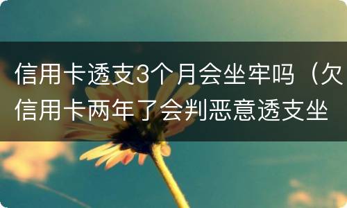 信用卡透支3个月会坐牢吗（欠信用卡两年了会判恶意透支坐牢吗）