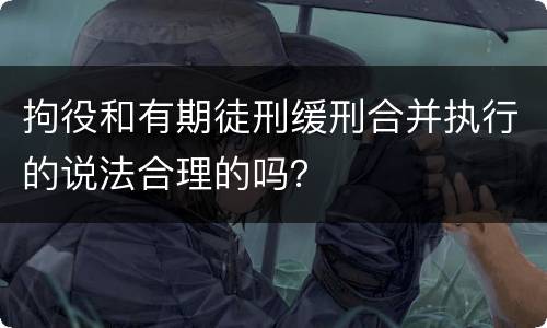 拘役和有期徒刑缓刑合并执行的说法合理的吗？