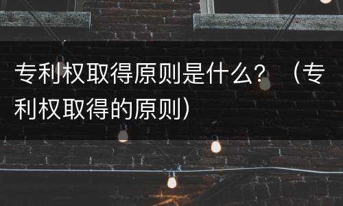 专利权取得原则是什么？（专利权取得的原则）