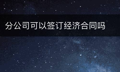 分公司可以签订经济合同吗