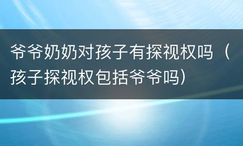 爷爷奶奶对孩子有探视权吗（孩子探视权包括爷爷吗）