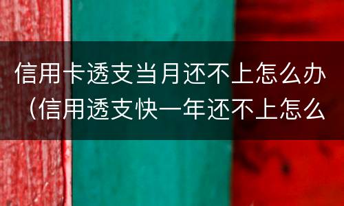 信用卡透支当月还不上怎么办（信用透支快一年还不上怎么办）