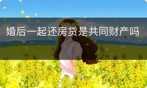 婚后一起还房贷是共同财产吗