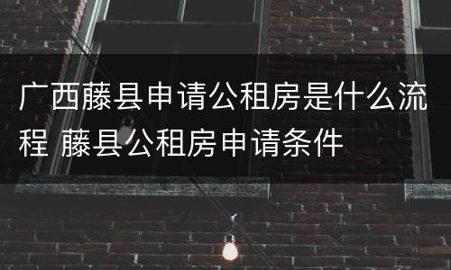 广西藤县申请公租房是什么流程 藤县公租房申请条件